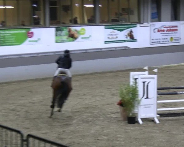 Reitturnier AZL Luhmühlen 2024