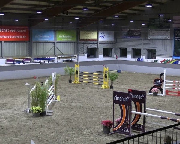 Reitturnier AZL Luhmühlen 2024