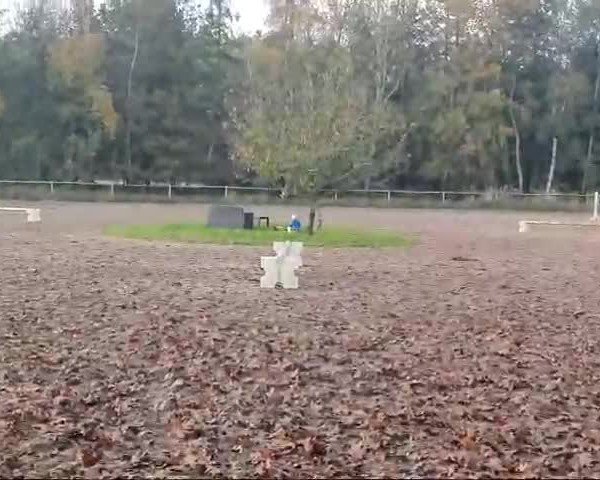 Video of Nechrista