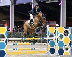 jumper Suives Moi Stb (Belgian Warmblood, 2018, from Comme il Faut)