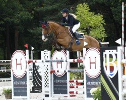 jumper Cheeky Charly Z (Zangersheide riding horse, 2013, from Canabis Z)