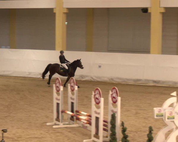 Reitturnier Stadl-Paura 2024