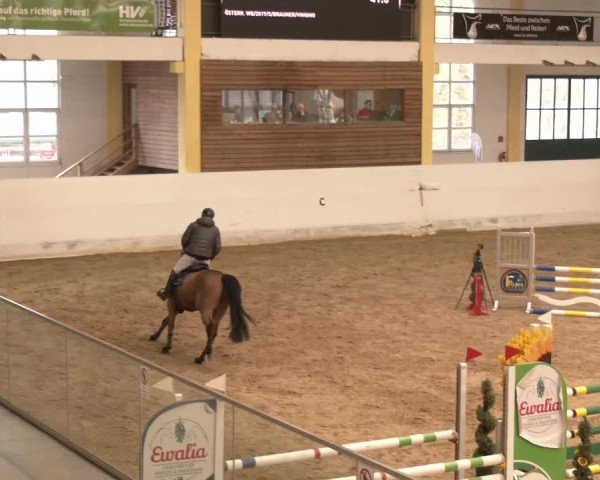 Reitturnier Stadl-Paura 2024