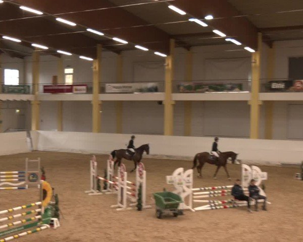 Reitturnier Stadl-Paura 2024