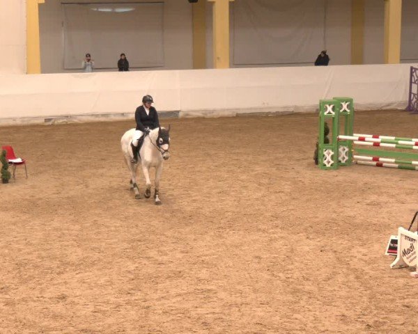 Reitturnier Stadl-Paura 2024