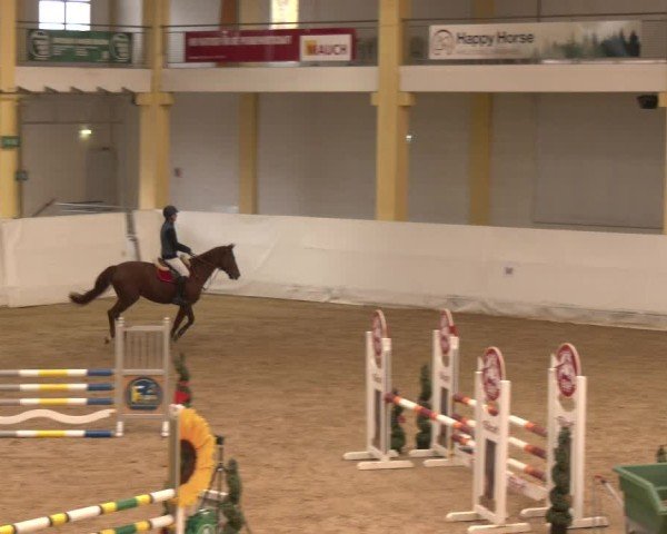 Reitturnier Stadl-Paura 2024