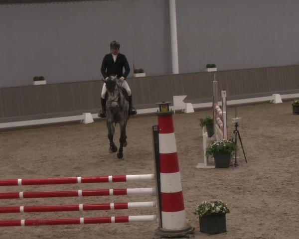 Reitturnier Münster-Handorf 2024