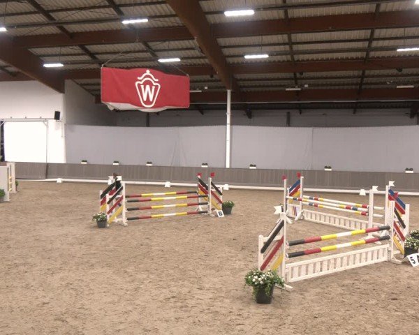 Reitturnier Münster-Handorf 2024