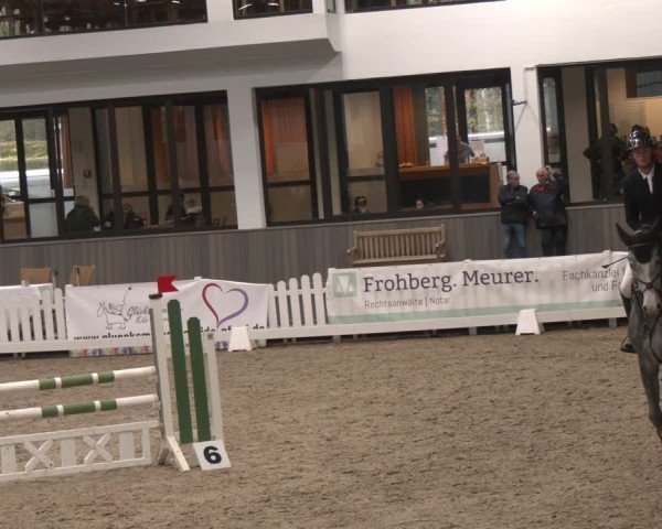 Reitturnier Münster-Handorf 2024