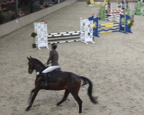 Reitturnier Heek-Nienborg 2024
