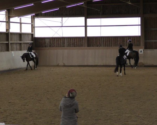 Reitturnier Marktredwitz-Haag/Ofr. 2024