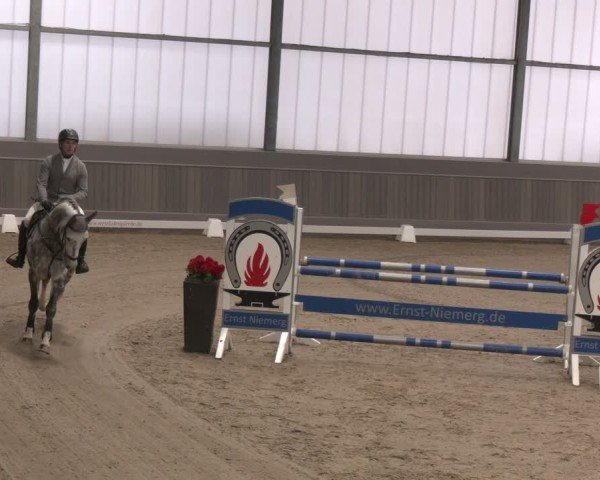 Reitturnier Münster-Handorf 2024