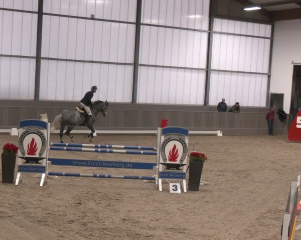 Reitturnier Münster-Handorf 2024
