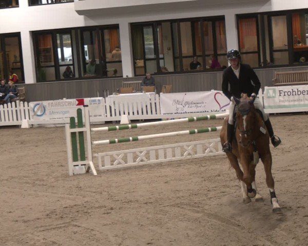 Reitturnier Münster-Handorf 2024