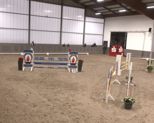 Reitturnier Münster-Handorf 2024