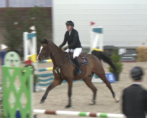 Reitturnier Heek-Nienborg 2024