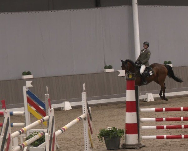 Reitturnier Münster-Handorf 2024