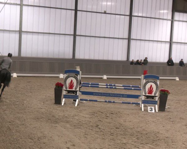 Reitturnier Münster-Handorf 2024