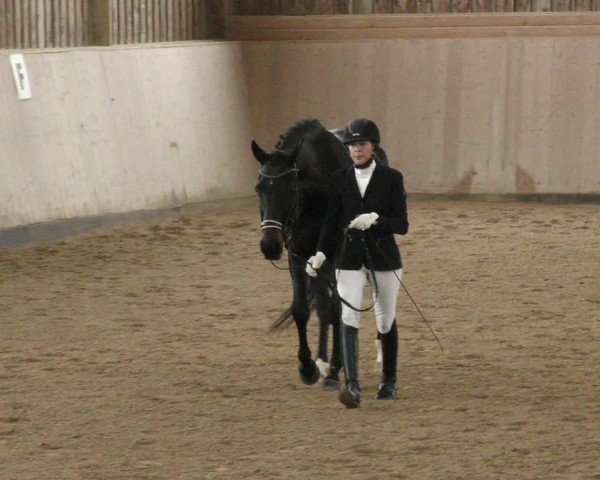 Reitturnier Marktredwitz-Haag/Ofr. 2024