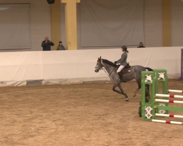 Reitturnier Stadl-Paura 2024