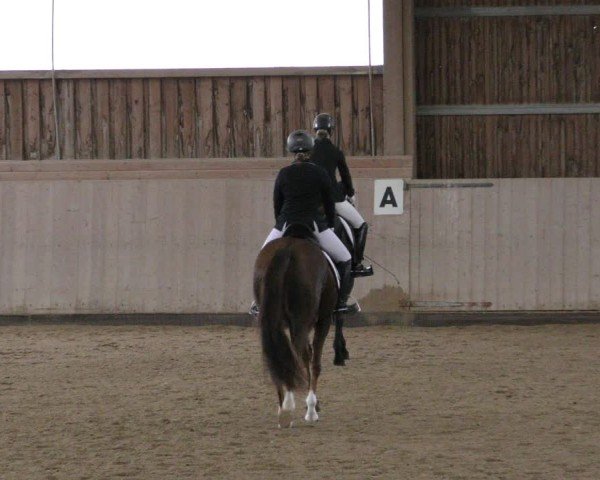 Reitturnier Marktredwitz-Haag/Ofr. 2024