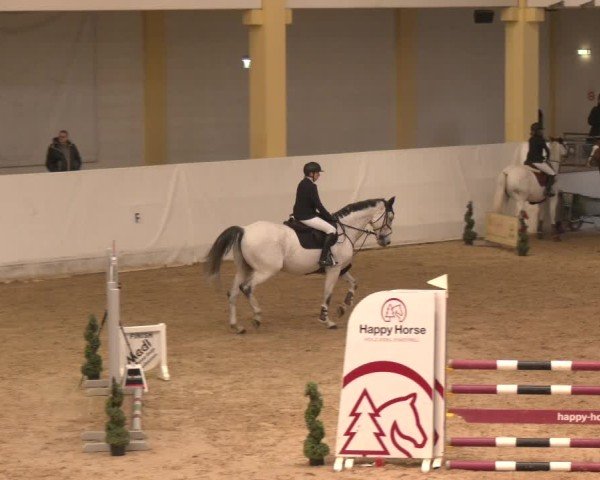 Reitturnier Stadl-Paura 2024