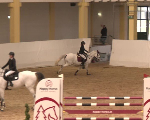 Reitturnier Stadl-Paura 2024