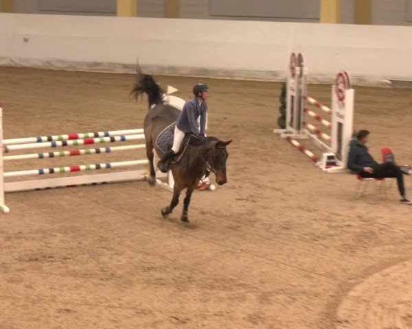 Reitturnier Stadl-Paura 2024