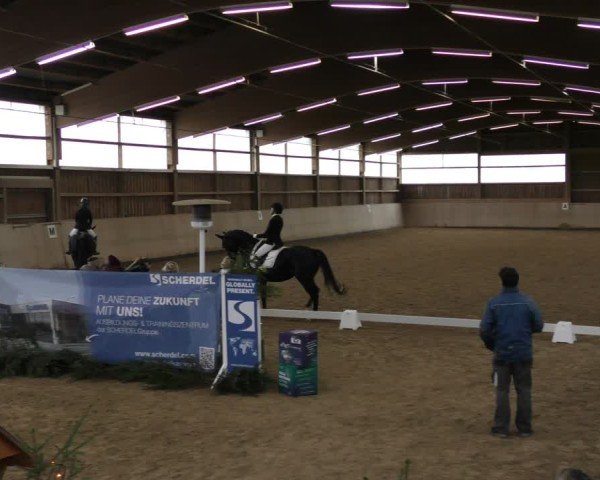 Reitturnier Marktredwitz-Haag/Ofr. 2024