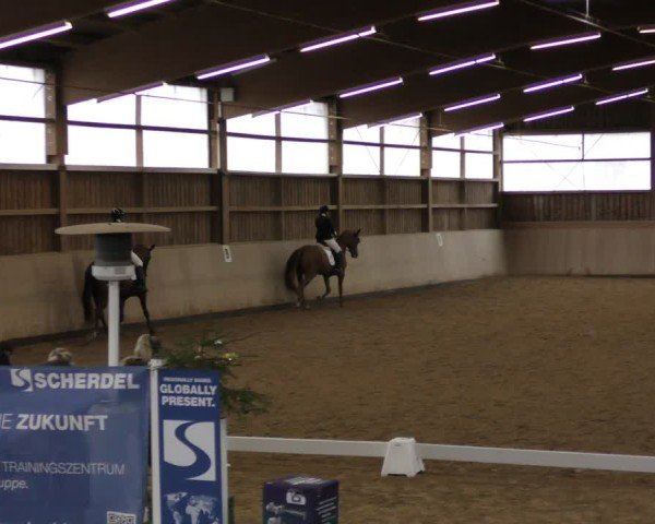 Reitturnier Marktredwitz-Haag/Ofr. 2024