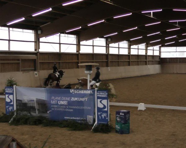 Reitturnier Marktredwitz-Haag/Ofr. 2024