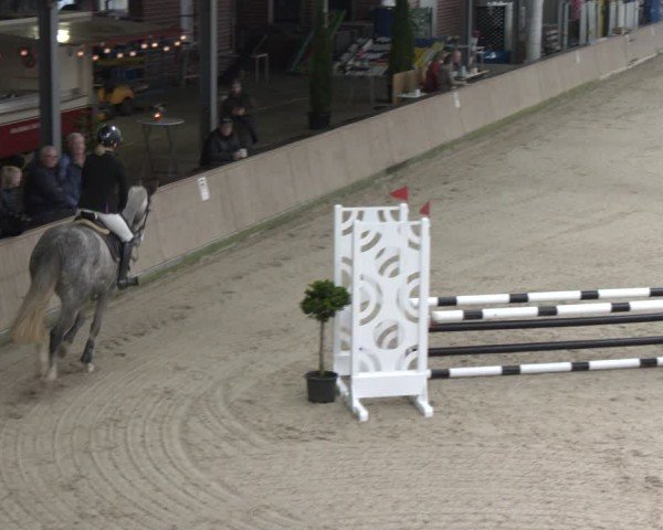 Reitturnier Heek-Nienborg 2024