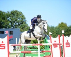 broodmare Ciara 100 (Westphalian, 2012, from Capilano)
