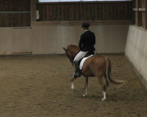 Reitturnier Marktredwitz-Haag/Ofr. 2024