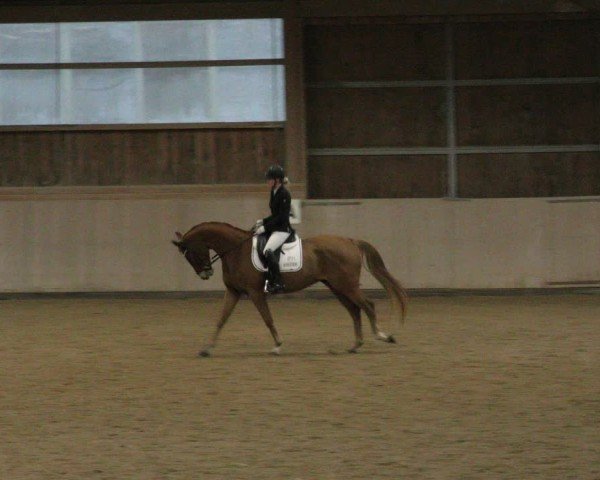 Reitturnier Marktredwitz-Haag/Ofr. 2024