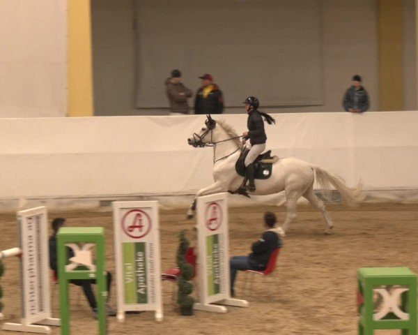 Reitturnier Stadl-Paura 2024