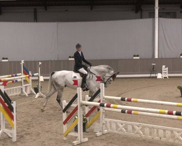 Reitturnier Münster-Handorf 2024