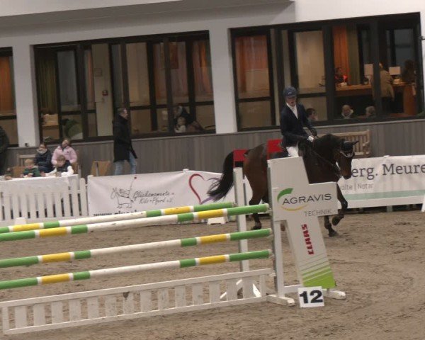 Reitturnier Münster-Handorf 2024