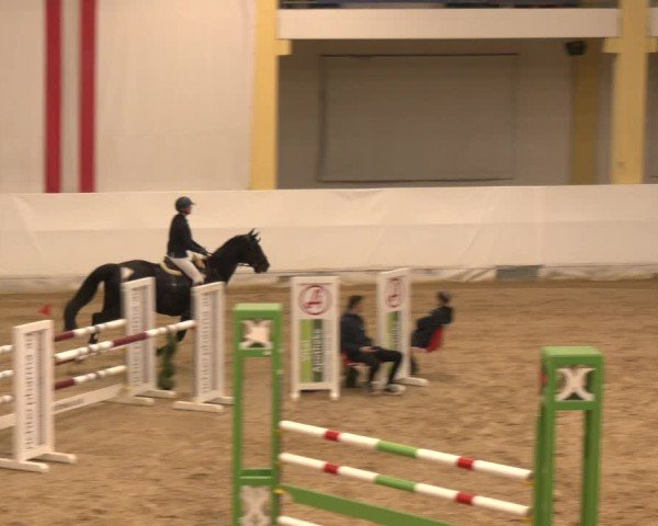 Reitturnier Stadl-Paura 2024