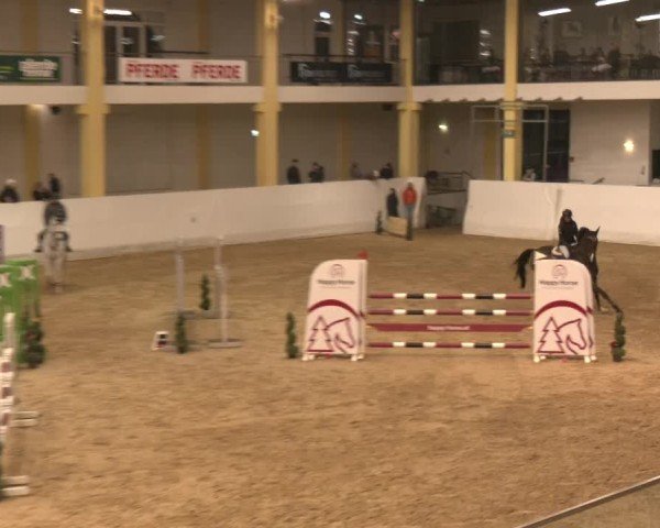 Reitturnier Stadl-Paura 2024
