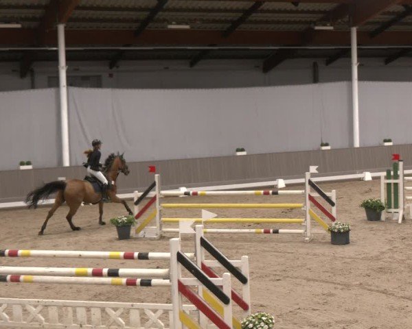 Reitturnier Münster-Handorf 2024