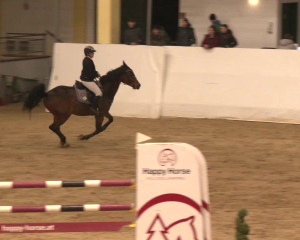 Reitturnier Stadl-Paura 2024