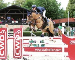 jumper Hercules-S (KWPN (Royal Dutch Sporthorse), 2012, from Eldorado van de Zeshoek)
