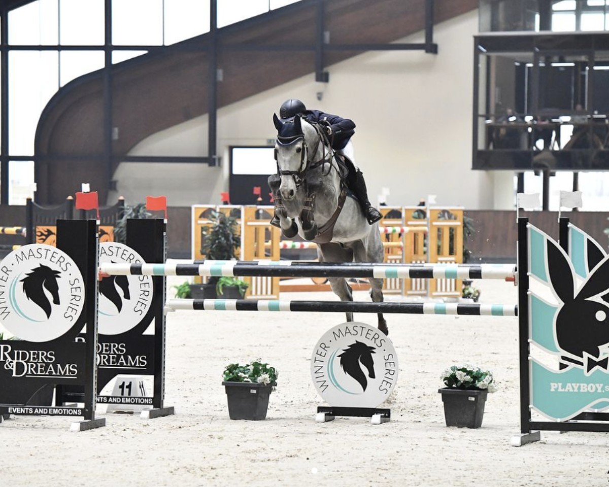 Springpferd Chaceland (Hannoveraner, 2011, von Chacco-Blue)