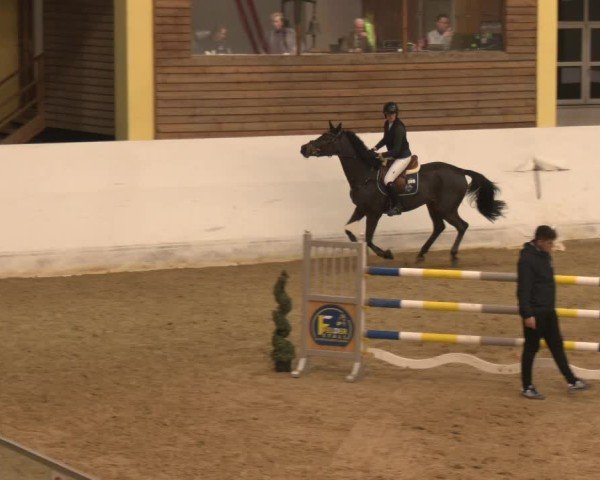 Reitturnier Stadl-Paura 2024