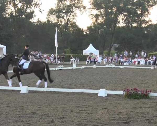 Reitturnier Münster-Handorf 2013