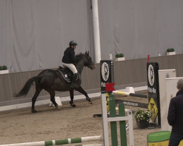 Reitturnier Münster-Handorf 2024