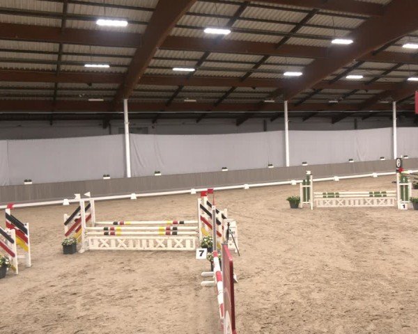 Reitturnier Münster-Handorf 2024