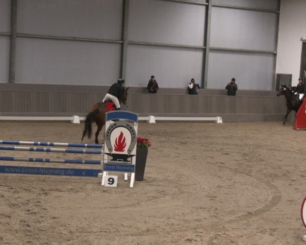 Reitturnier Münster-Handorf 2024