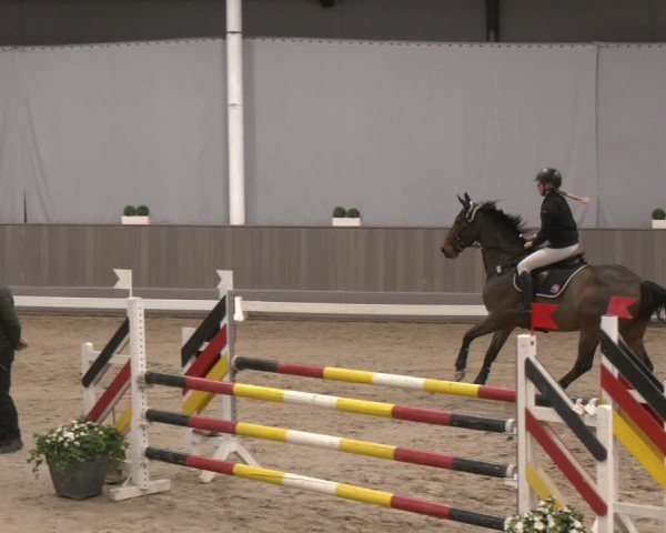 Reitturnier Münster-Handorf 2024